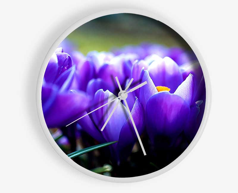 Purple Crocus Garden Clock - Wallart-Direct UK