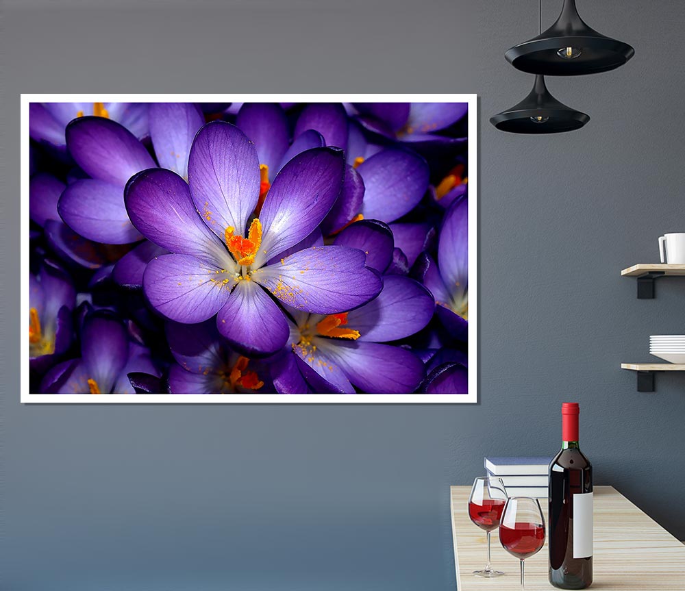 Autumn Purple Crocus Print Poster Wall Art