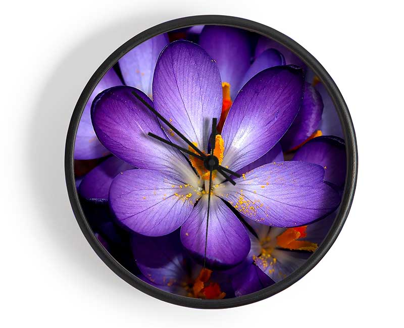 Autumn Purple Crocus Clock - Wallart-Direct UK