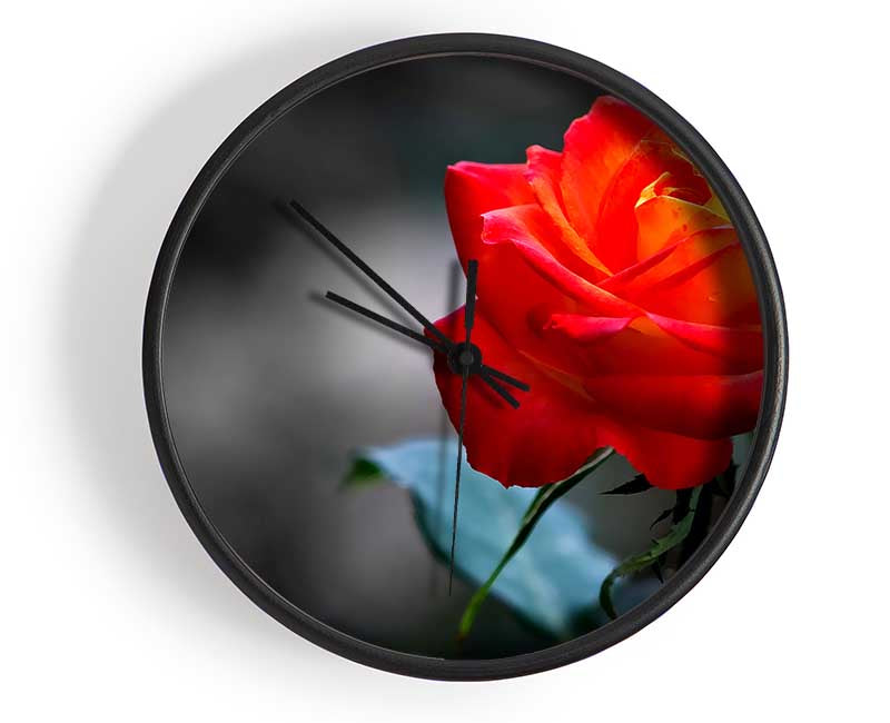 Orange Rose On Black Clock - Wallart-Direct UK