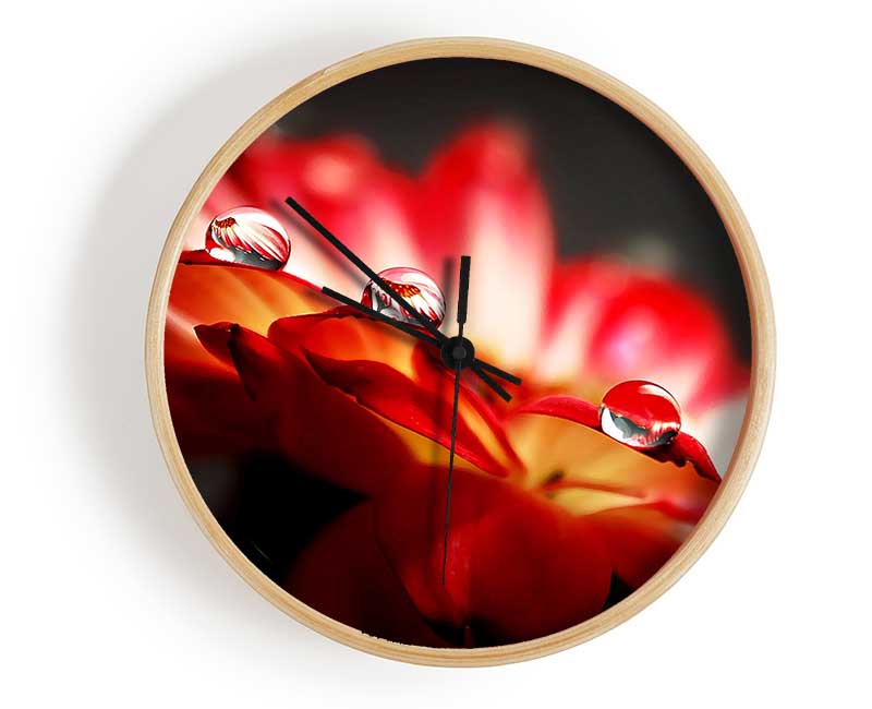 Macro Drops Clock - Wallart-Direct UK