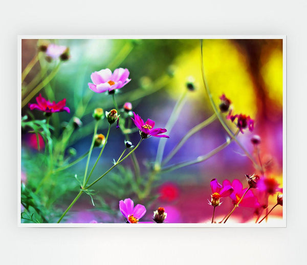 Amazing Wild Flowers Print Poster Wall Art