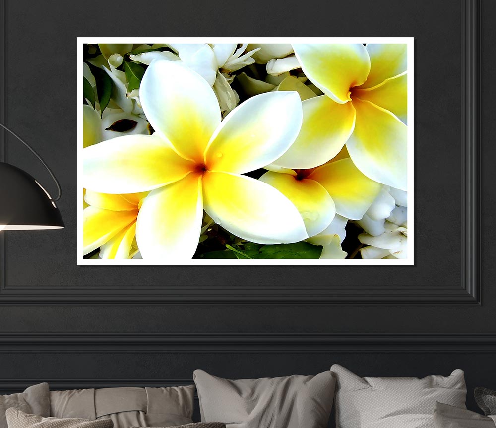 White Yellow Flowers Print Poster Wall Art