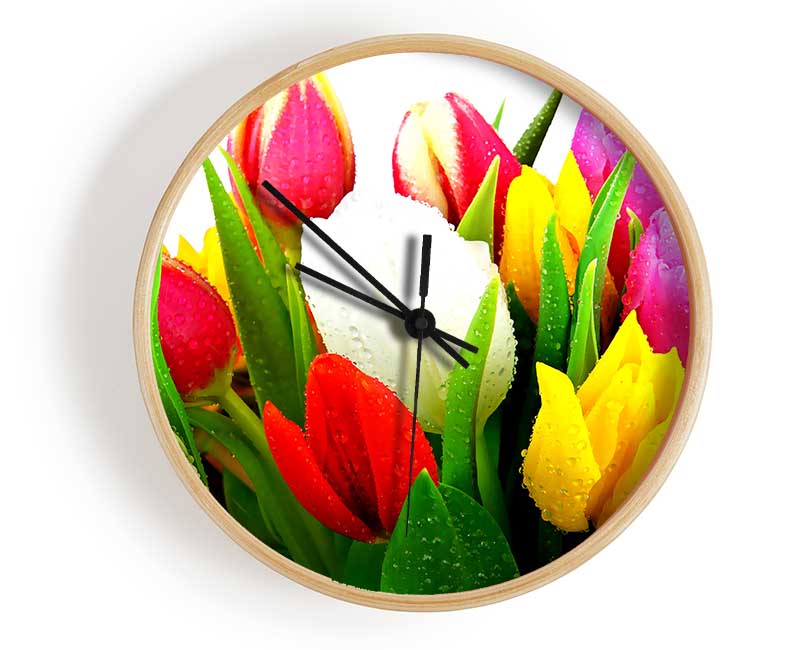 Fresh Tulips Clock - Wallart-Direct UK