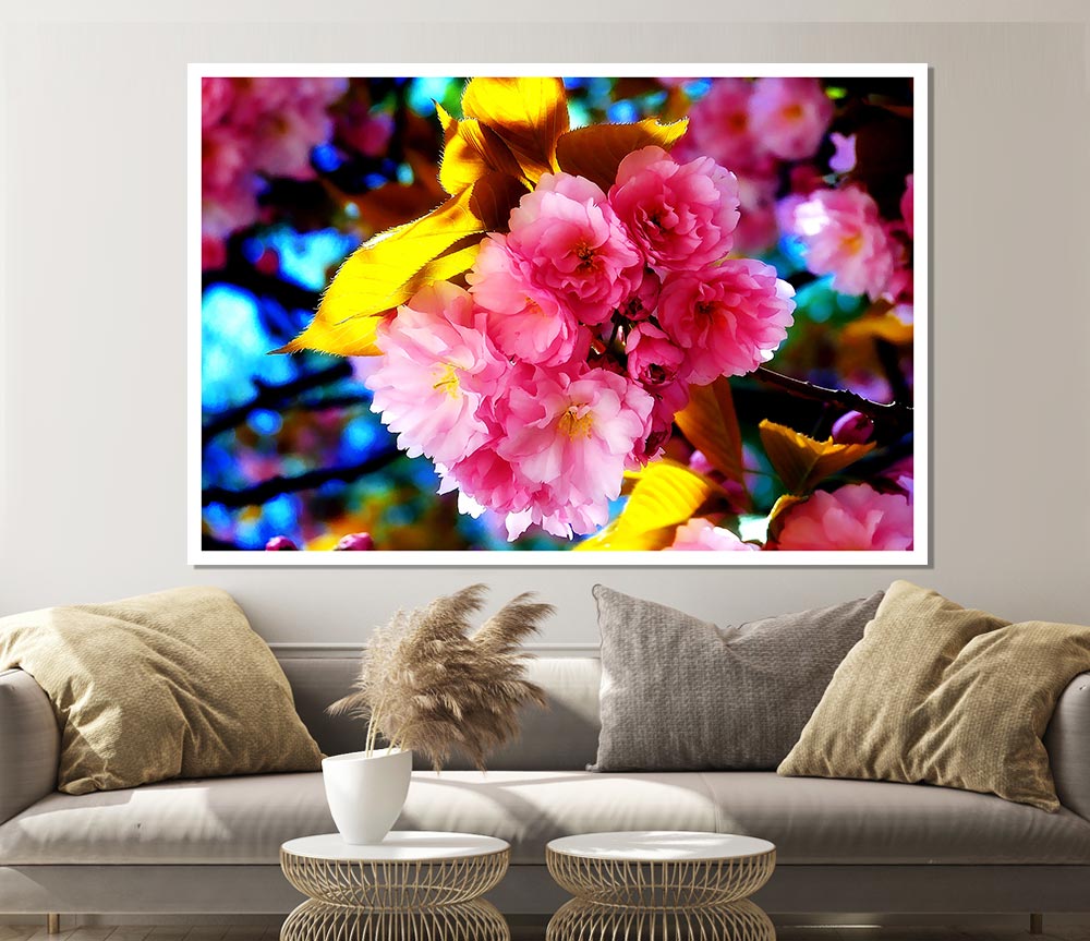 Beautiful Cherry Blossom Bunch Print Poster Wall Art