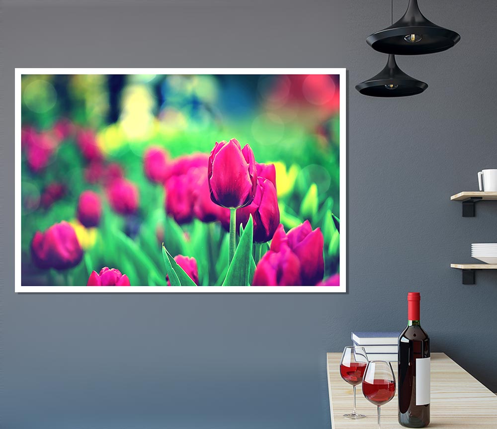 Cerise Tulip Garden Print Poster Wall Art