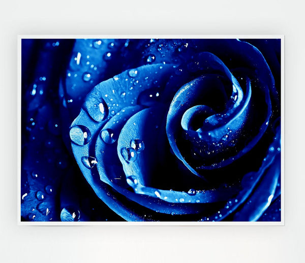 Wet Drops Blue Rose Print Poster Wall Art