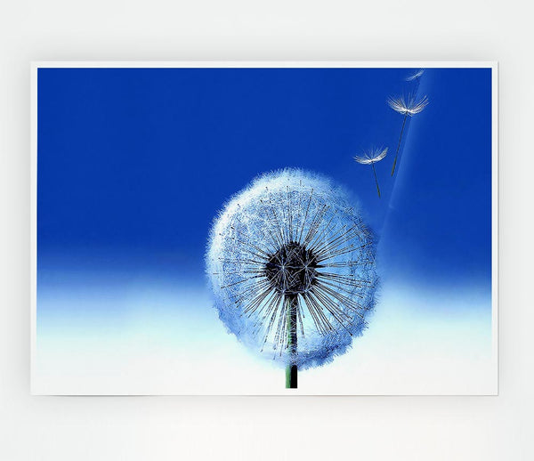 Wishes Going To Heaven Print Poster Wall Art