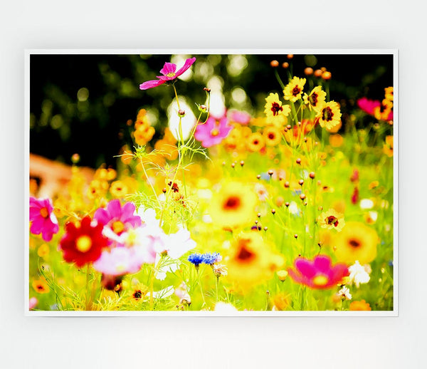 Vivid Wild Rainbow Flowers Print Poster Wall Art