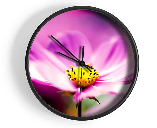 Purple Cosmos Flower Clock - Wallart-Direct UK