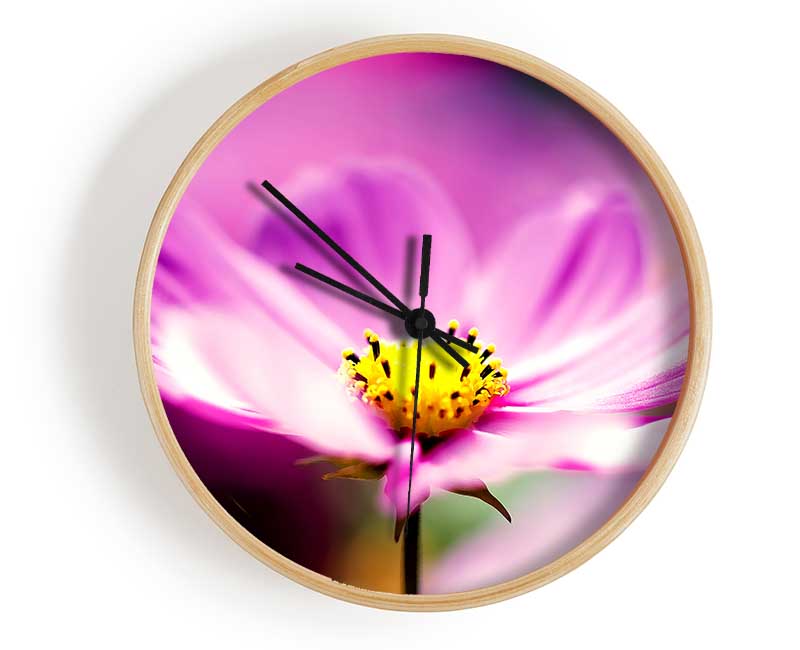 Purple Cosmos Flower Clock - Wallart-Direct UK