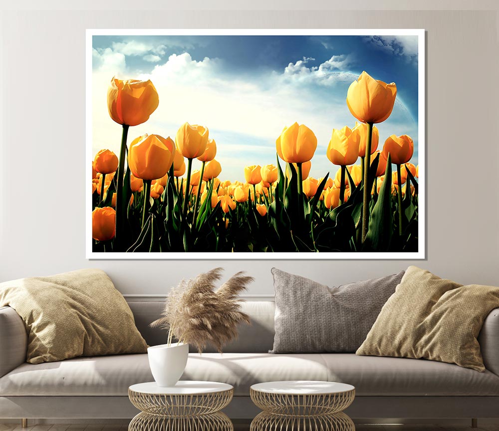 Yellow Tulips In The Cloudy Skies Print Poster Wall Art