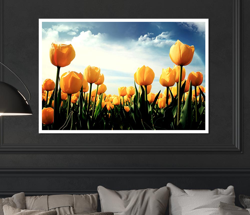 Yellow Tulips In The Cloudy Skies Print Poster Wall Art