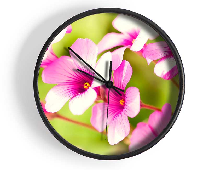 Purple Verbena Clock - Wallart-Direct UK