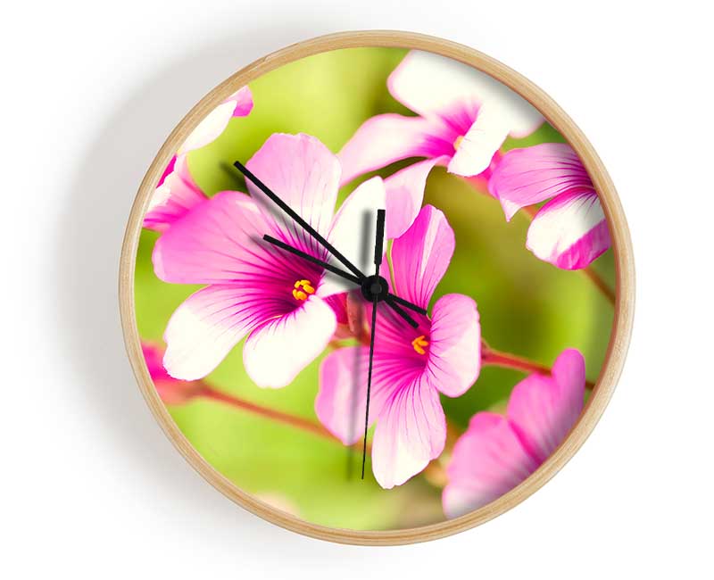 Purple Verbena Clock - Wallart-Direct UK