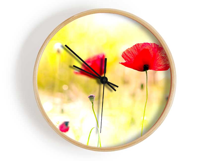 Poppy Sunlight Clock - Wallart-Direct UK