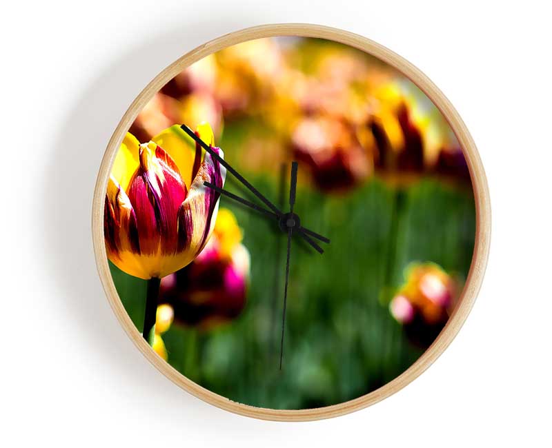 Botanical Garden Tulips Clock - Wallart-Direct UK