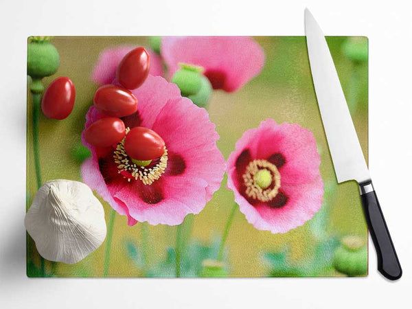 Pink Poppies In Bloom Glass Chopping Board