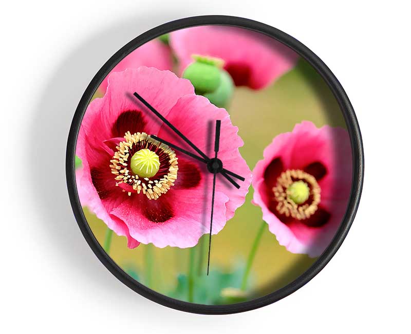 Pink Poppies In Bloom Clock - Wallart-Direct UK