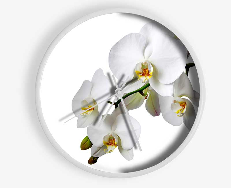 White Orchid Beauty Clock - Wallart-Direct UK