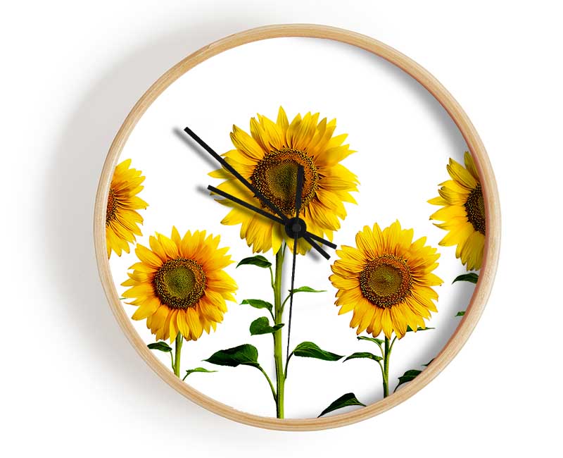 Sunflower Mayhem Clock - Wallart-Direct UK