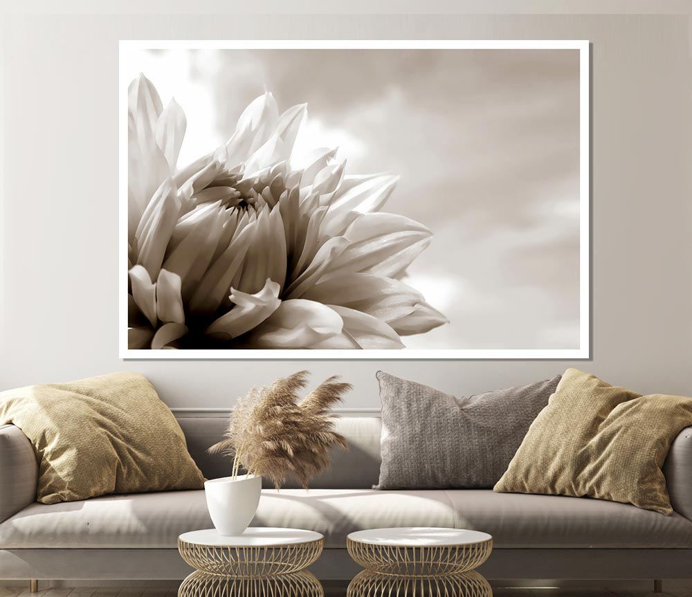 Blossoming Sepia Print Poster Wall Art