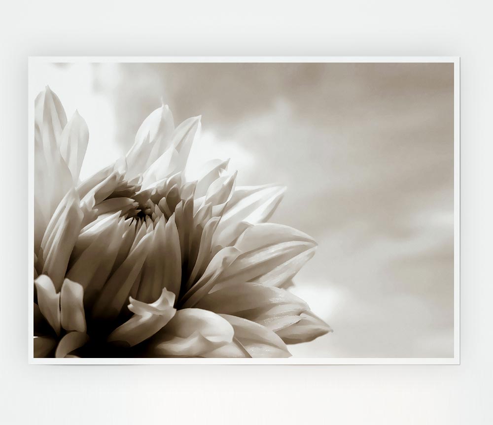 Blossoming Sepia Print Poster Wall Art