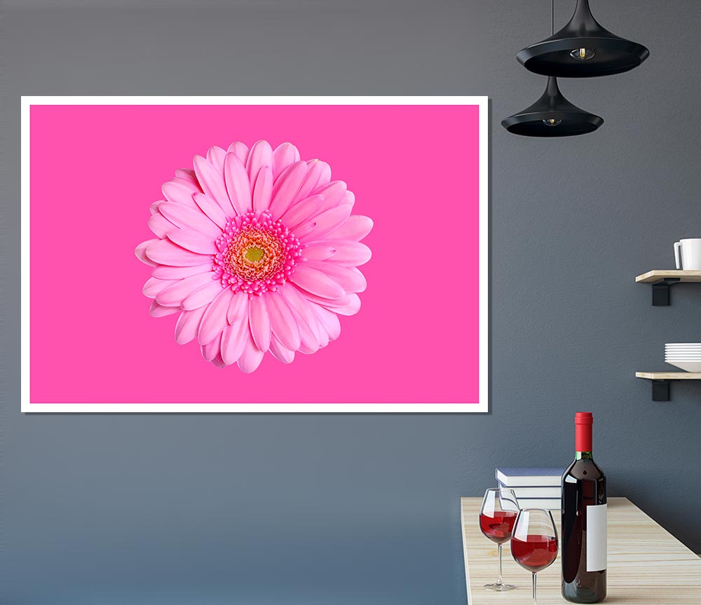 Baby Pink On Pink Gerbera Print Poster Wall Art