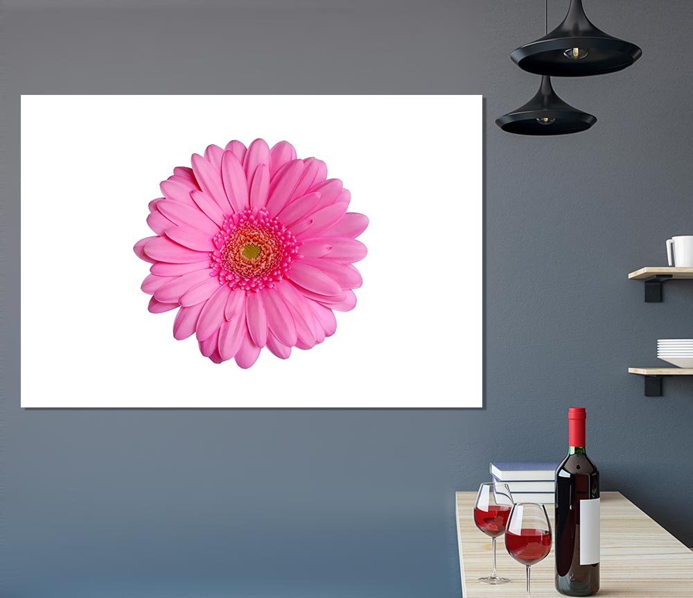 Baby Pink Gerbera Petals Print Poster Wall Art