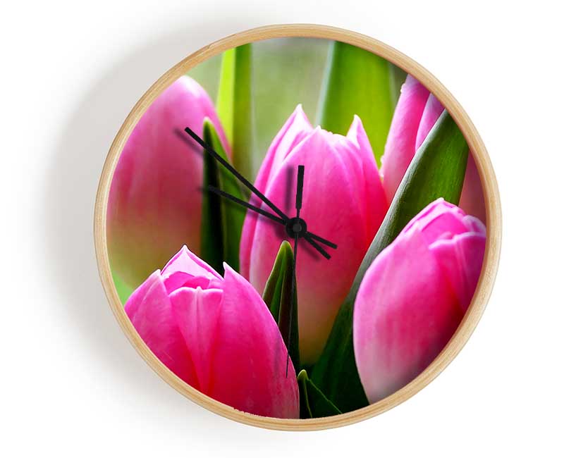 Pink Tulip Garden Surprise Clock - Wallart-Direct UK