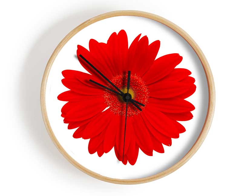 Vibrant Red Gerbera Clock - Wallart-Direct UK