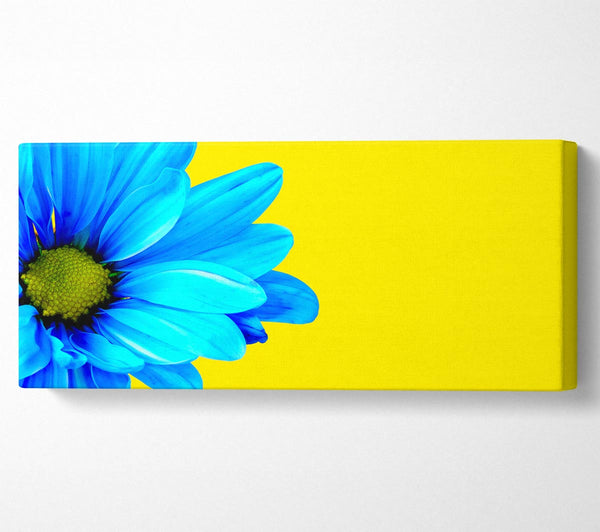 Blue Daisy On Yellow