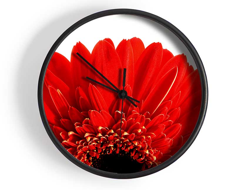 Red Gerbera Head Clock - Wallart-Direct UK