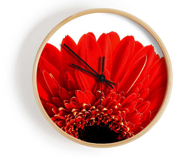 Red Gerbera Head Clock - Wallart-Direct UK