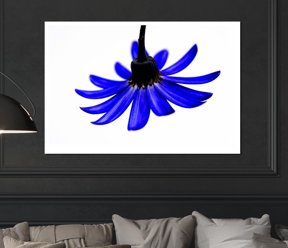 Blue Petals Print Poster Wall Art