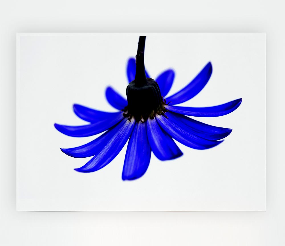 Blue Petals Print Poster Wall Art