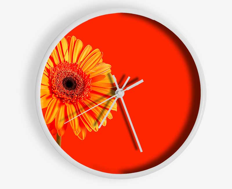 Orange On Orange Gerbera Clock - Wallart-Direct UK