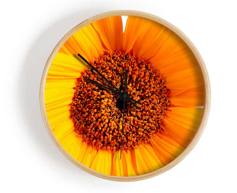 Sunflower Petals Clock - Wallart-Direct UK