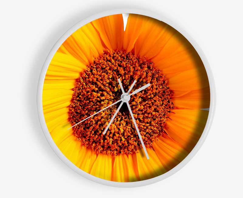 Sunflower Petals Clock - Wallart-Direct UK