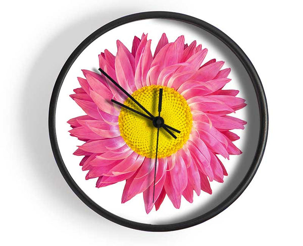 Pink Daisy Twist Clock - Wallart-Direct UK