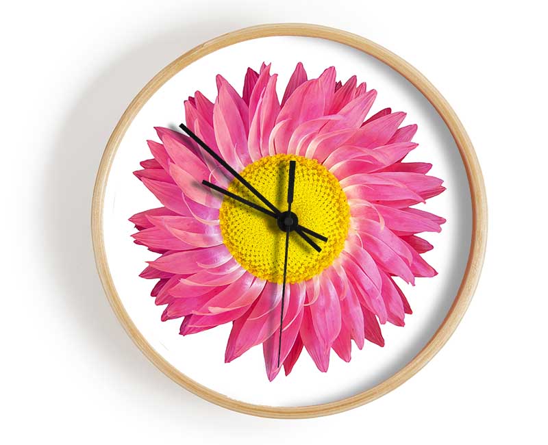 Pink Daisy Twist Clock - Wallart-Direct UK