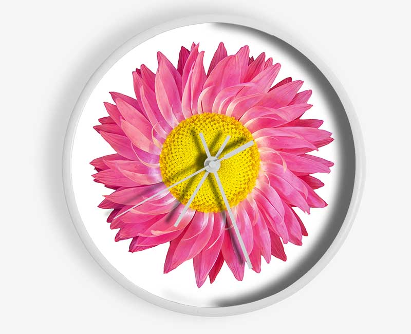 Pink Daisy Twist Clock - Wallart-Direct UK