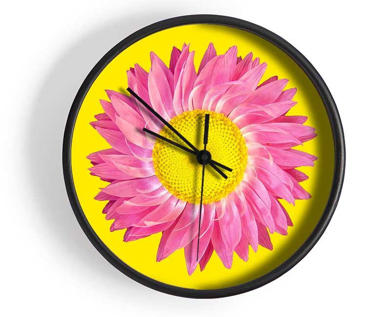 Pink Daisy On Yellow Twist Clock - Wallart-Direct UK