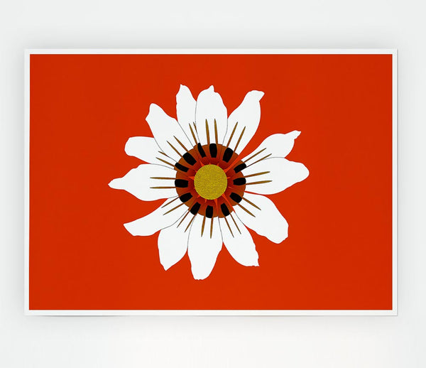 White Daisy Oranges Print Poster Wall Art