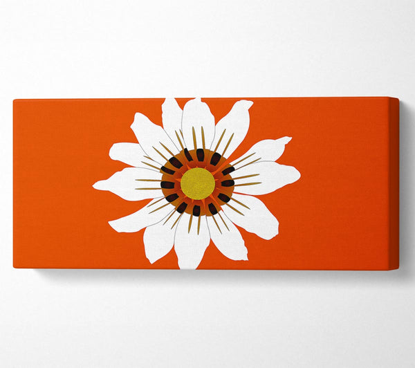 White Daisy Oranges