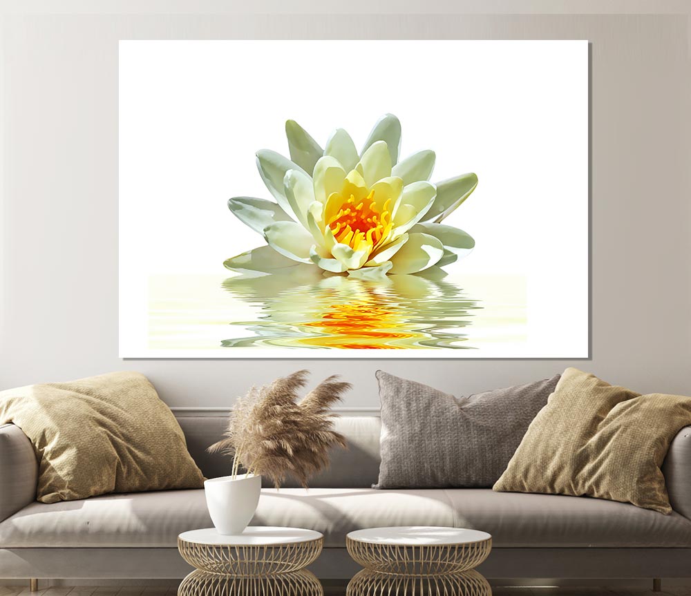 White Water Lily Reflection Petals Print Poster Wall Art