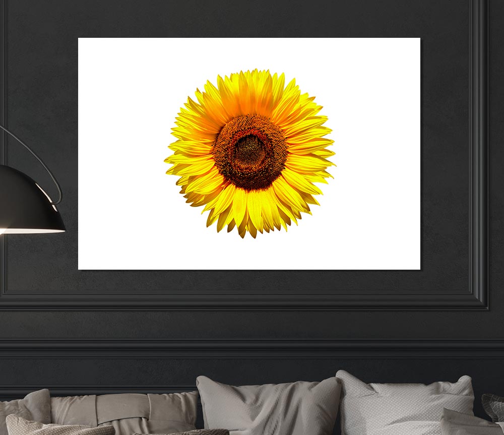 Yellow Sunflower Head Print Poster Wall Art