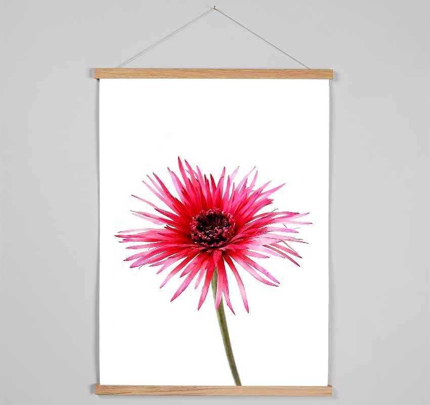 Pink Feather Flower Hanging Poster - Wallart-Direct UK