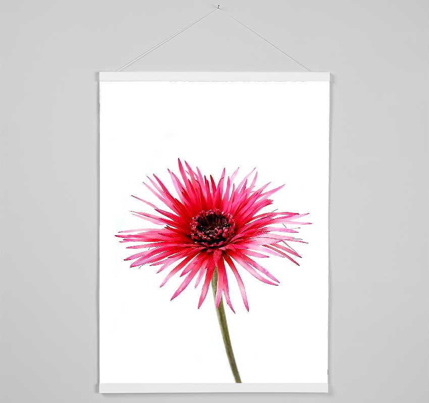 Pink Feather Flower Hanging Poster - Wallart-Direct UK