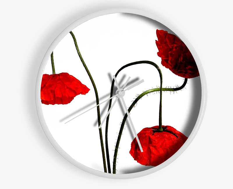 Stunning Trio Of Poppys Clock - Wallart-Direct UK